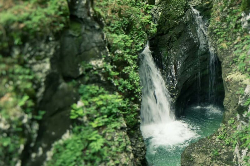 Bled: Triglav National Park Canyoning Adventure with Photos - Photos without carrying your own camera