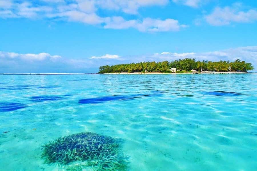 Blue Bay Glass Bottom Boat, Adventure Park & Gris Gris - Blue Bay Marine Park starts the day with coral and fish