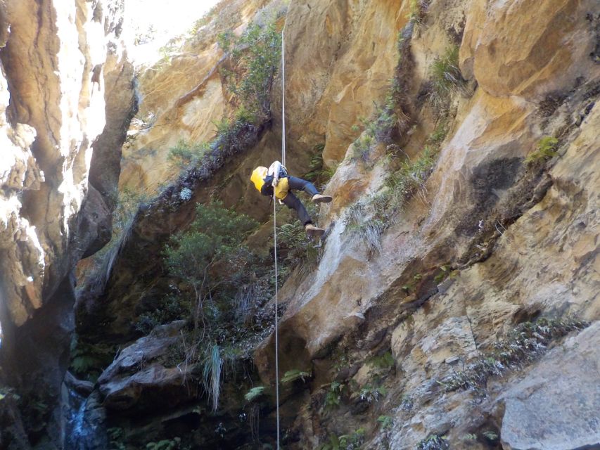 Blue Mountains: Abseiling and Canyoning Experience - Walking into the slot canyon