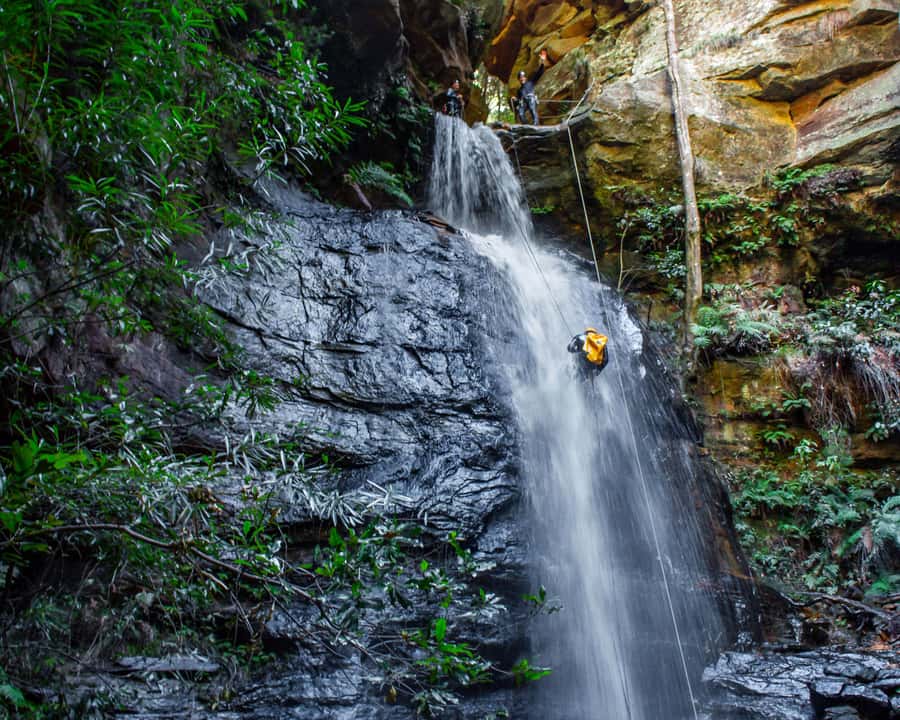 Blue Mountains: Abseiling and Canyoning Experience - Who should book this adventure