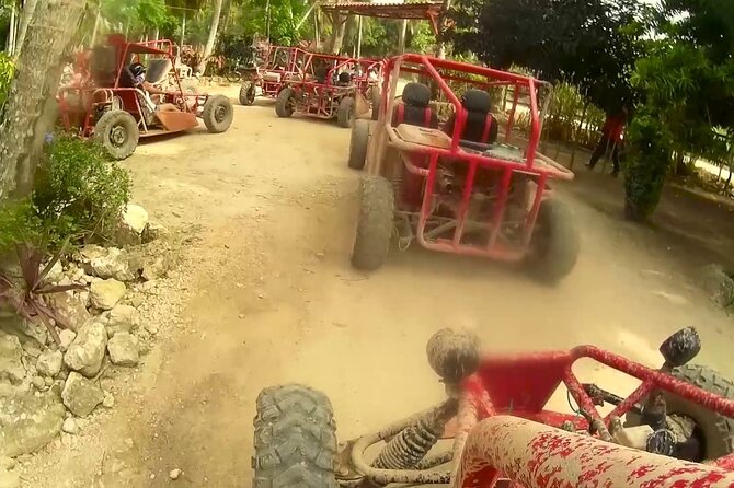 Buggy Extreme Tour to Macau Beach and River Cave in Punta Cana - Tasting cocoa, coffee, mamajuana, and tropical fruit