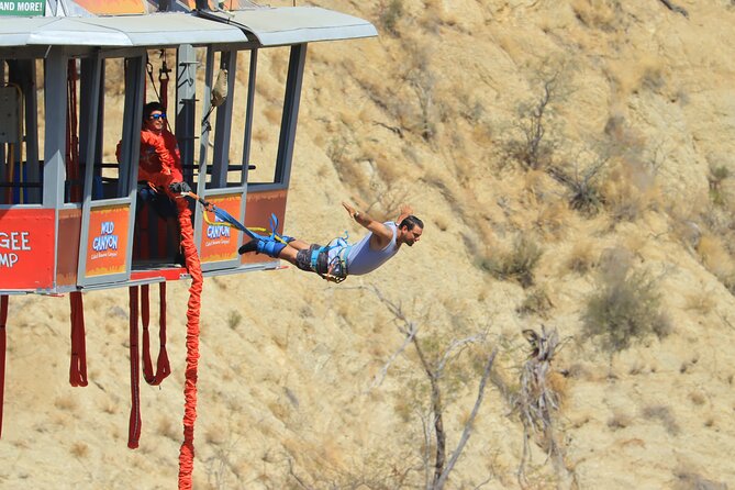 Bungee Jump in Los Cabos - Price, Photos, and Overall Value