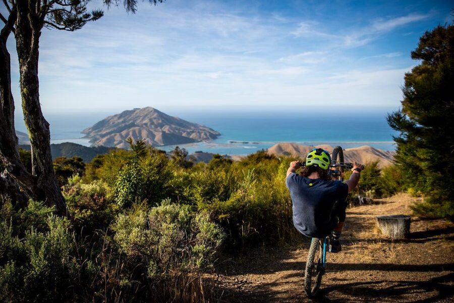 Cable Bay Adventure Park: E-bike hire - Key points for your four-hour ride
