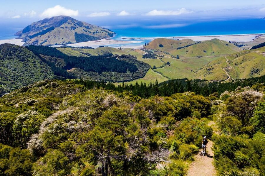 Cable Bay Adventure Park: E-bike hire - Picking the right Cable Bay route