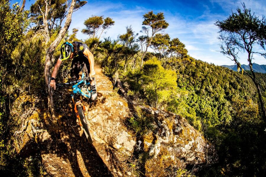 Cable Bay Adventure Park: E-bike hire - Is $56 good value?