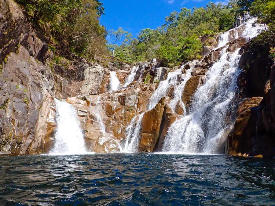 Cairns: Behana Gorge Rainforest Canyoning Tour - What the guides add to the day