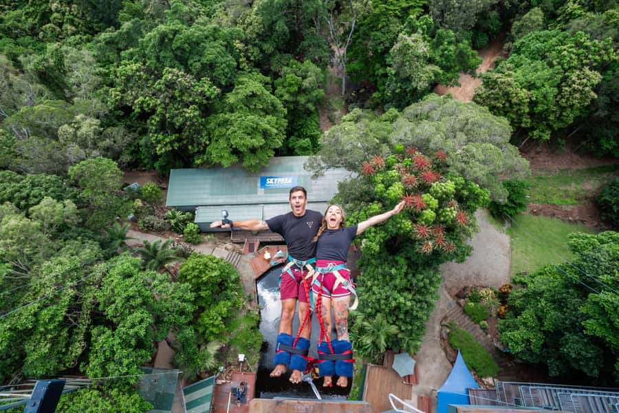 Cairns: Bungy Jump - Quick take: what matters most