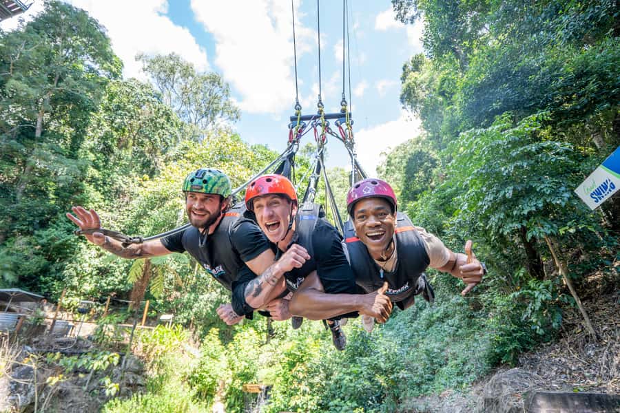 Cairns: Giant Swing - Why the rainforest setting matters