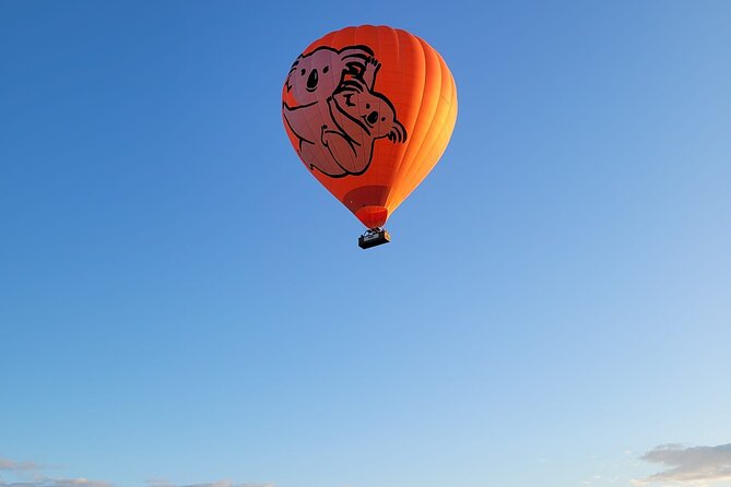 Cairns Hot Air Balloon Flight + Bad Fishy Jet Boating Cairns - What the balloon flight feels like