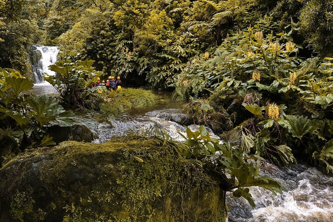 Canyoning Adventure in Ribeira da Salga (Sao Miguel - Azores) - Why Ribeira da Salga makes a good canyoning setting