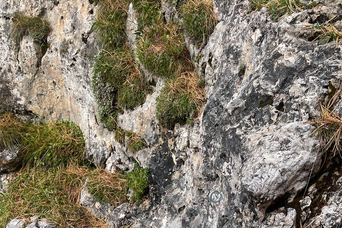 Canyoning Adventure saddle - A steady series of obstacles