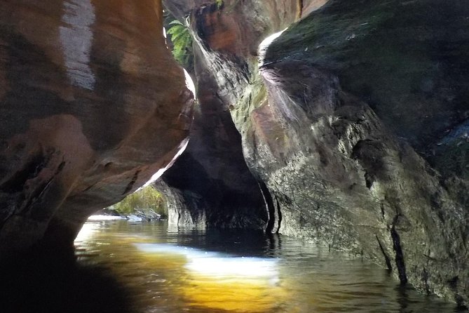 Canyoning at Twister and Rocky Creek: Two Canyons In One Day - The fern-lined walk to Rocky Creek