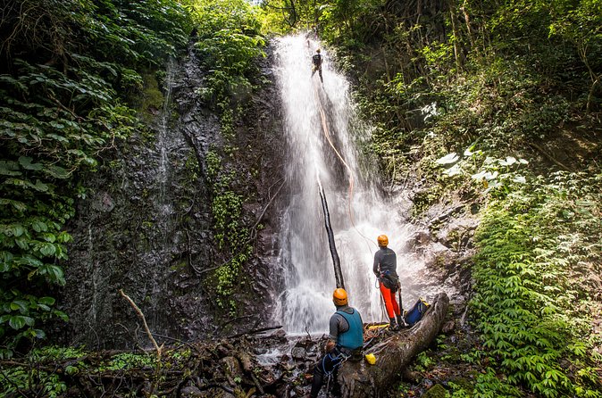 Canyoning Bali, Tamata Canyon (Adventure, discovery, nature) - Is the $310 price good value?
