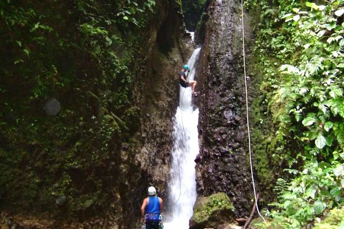 Canyoning Discovery in Dominica - Key points at a glance