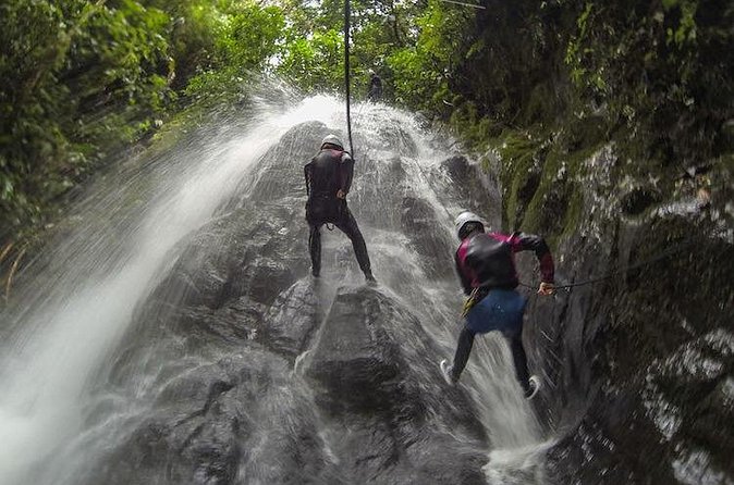 Canyoning Discovery in Dominica - Meeting point, clothing, and weather