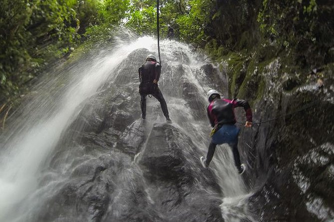 Canyoning Discovery in Dominica - Walking from the rainforest to the canyon