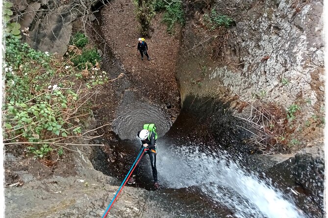 Canyoning in Gran Canaria: The Hidden Waterfalls and Magic Pools - Is $78.61 a fair price?