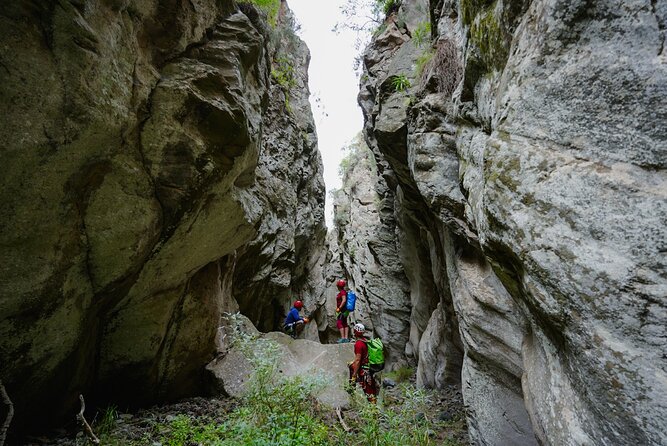 Canyoning in Tenerife South - The return through Canary pine trees
