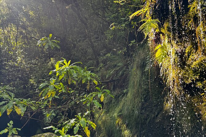 Canyoning Madeira Intermediate - Starting at Madeira Climbing Center in Funchal