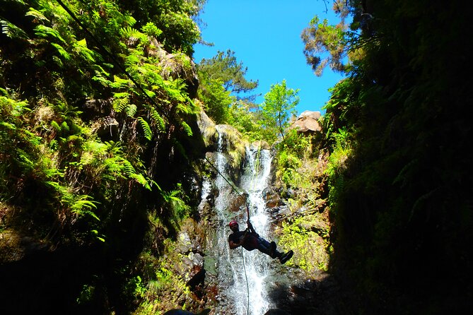 Canyoning Madeira Island - Level One - Five waterfall rappels, slides, jumps, and pools