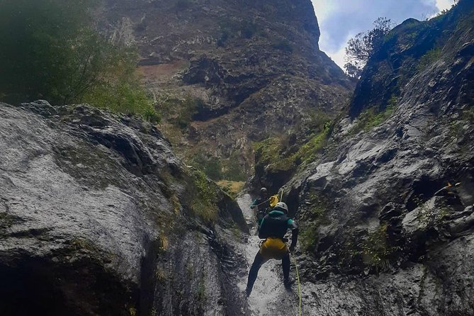 Canyoning Madeira Island - Level Two - The $98.84 Price and What It Covers