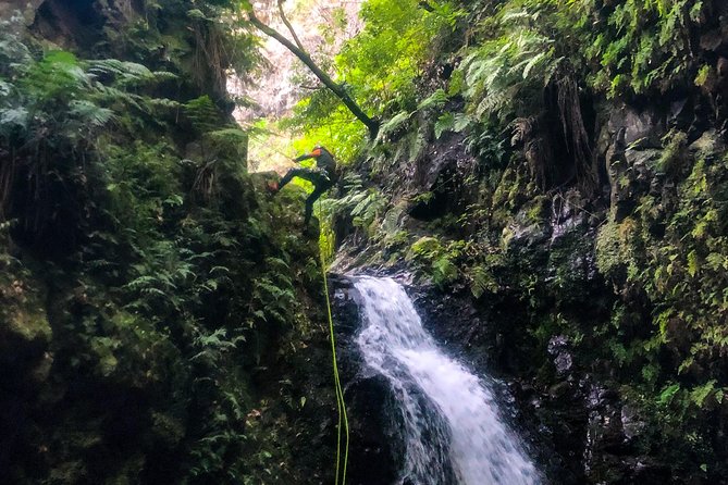 Canyoning Madeira Island - Level Two - Jumps, Natural Slides, and Cold Pool Water