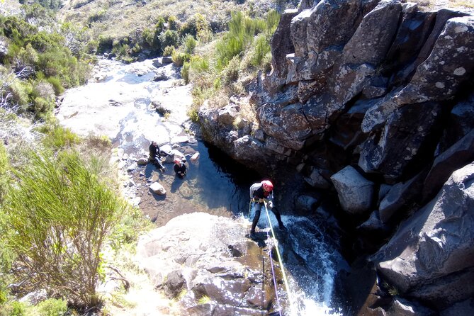 Canyoning Madeira Private/Small group tour - Why Madeira Canyoning Is More Than a Walk
