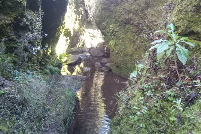 Canyoning Madeira Private/Small group tour - Waterfalls, Slides, and Time for Photographs