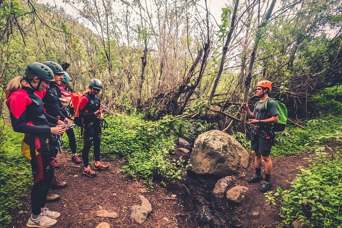 Canyoning with Waterfalls in the Rainforest - Small Groups ツ - Why this canyoning route is worth your time