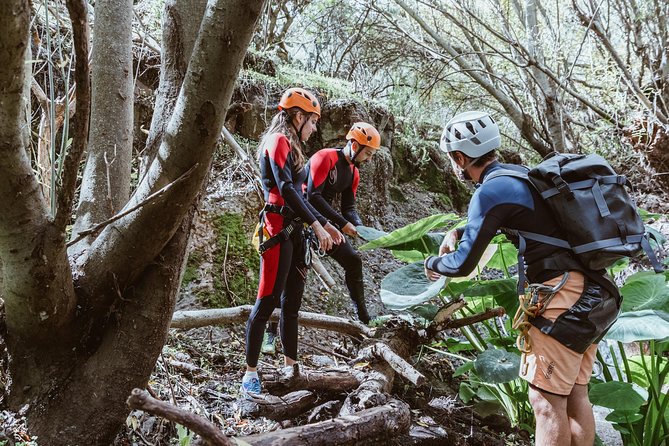 Canyoning with Waterfalls in the Rainforest - Small Groups ツ - Waterfalls, rope work, and natural slides