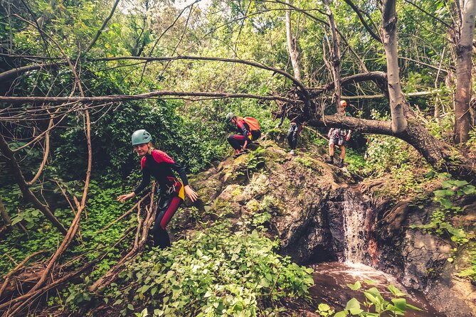 Canyoning with Waterfalls in the Rainforest - Small Groups ツ - Timing, weather, and practical limits