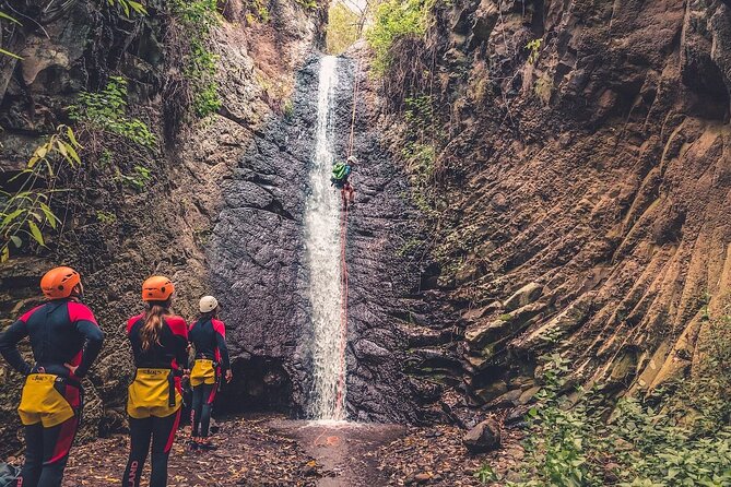 Canyoning with Waterfalls in the Rainforest - Small Groups ツ - The approach walk sets the tone