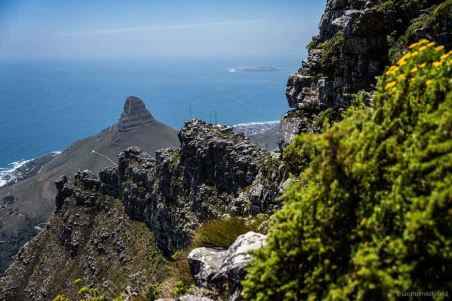 Cape Town: Table Mountain Abseil and Hike - Reaching the summit and meeting the abseil team