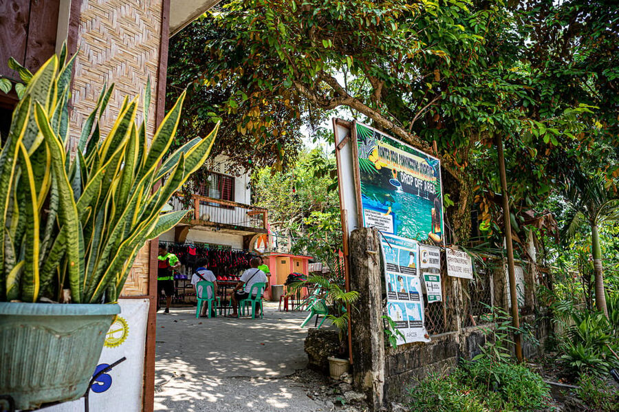 Cebu: Kawasan Canyoning, Moalboal Snorkeling, & Turtles Tour - Is the $142 price fair?