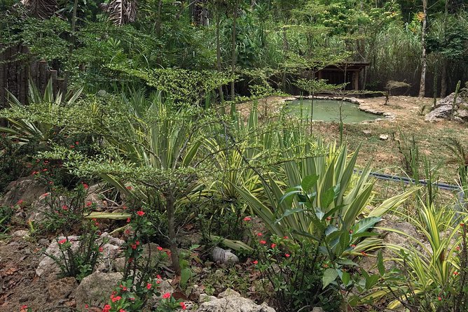 Cebu Safari and Adventure Park - What the full park visit feels like