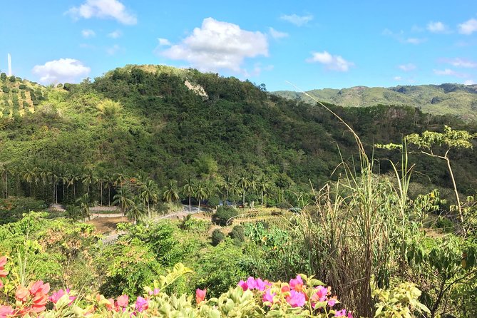 Cebu Safari and Adventure Park - Tiger viewing needs a little planning