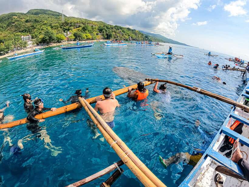 Cebu: Whale Shark Snorkeling & Kawasan Canyoning Tour - The ride back and the real cost of the day