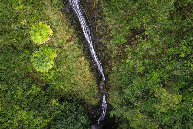 Chasing Waterfalls:Wild Hawaii Rappelling - What happens at the waterfall