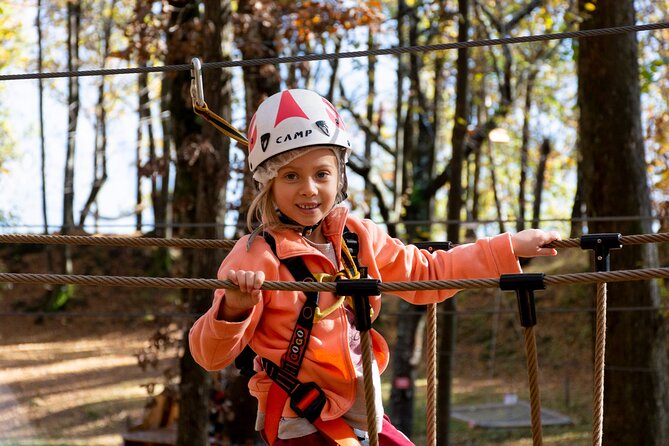 Children Daily Ticket for Adventure Park in Gravedona - A family adventure park above Gravedona