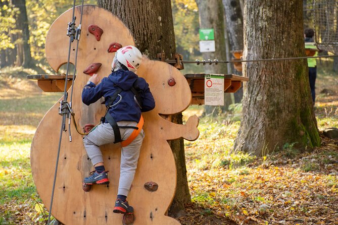 Children Daily Ticket for Adventure Park in Gravedona - What a typical visit feels like