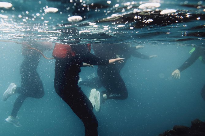 Coasteering - Key points at a glance