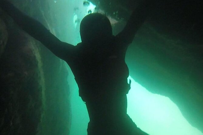 Coasteering Geopark Adventure In Torquay - Wildlife encounters along the route