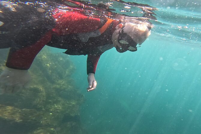 Coasteering in Caloura (Sao Miguel - Azores) - Snorkeling and Marine Life