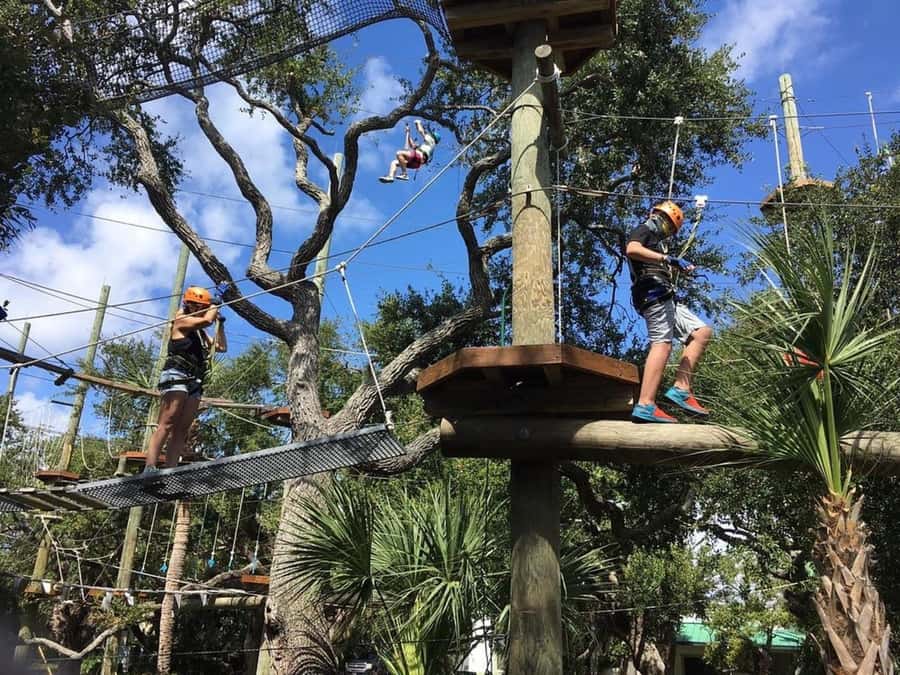 Cocoa Beach: Aerial Adventure Park Ticket - The Kids Course Stays Close to the Ground