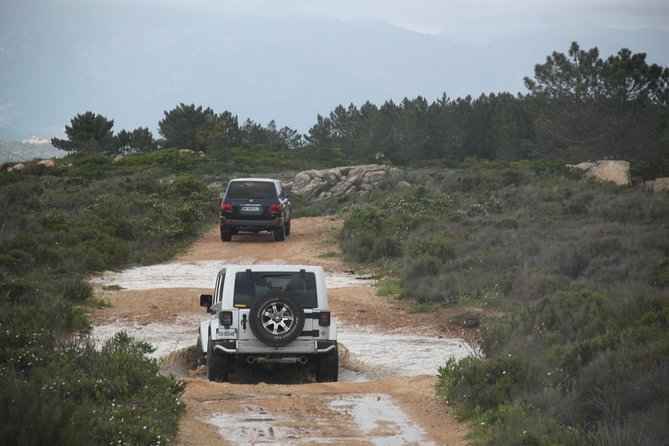 Corsica Extreme Sud Day 4X4 Excursions from Porto-Vecchio - Who should book this 4x4 day