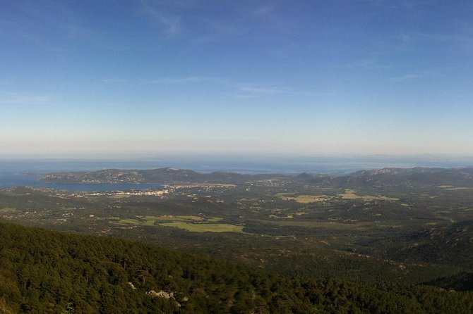 Corsica Extreme Sud Day 4X4 Excursions from Porto-Vecchio - Ospedale Forest: pines, water, and a cooler mountain setting