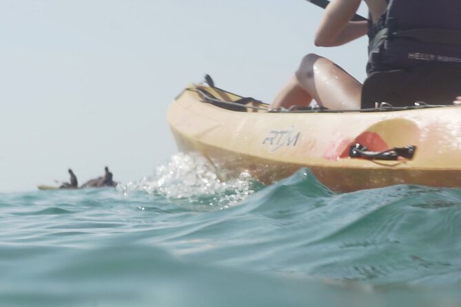 Costa Brava: Kayak, Snorkel, Photos, Lunch, Beach & Cliff Jump! - Cliff jumping and the activity level