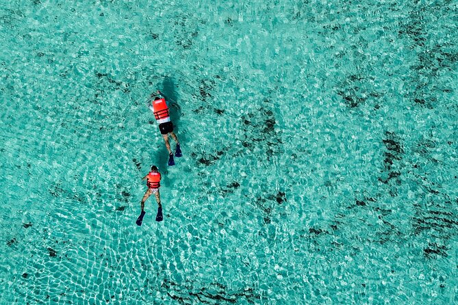 Cozumel: VIP Access Pass at KUZÁ Beach & Adventure Park - Entertainment beyond the shoreline