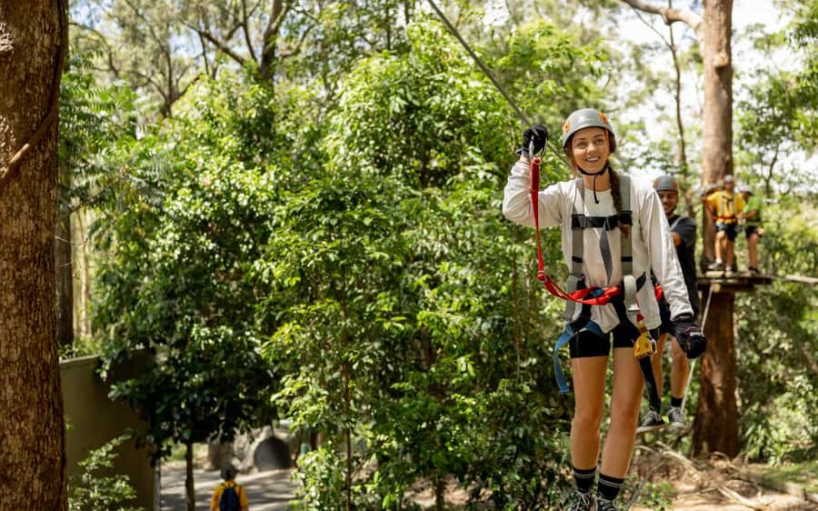 Currumbin: Treetop Challenge Adventure Park - Starting With the Two Green Circuits
