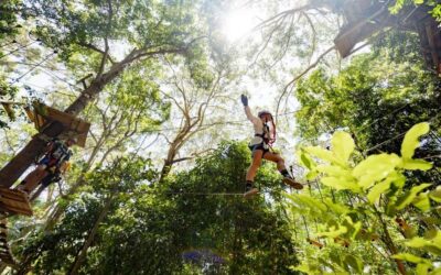 Treetop Challenge Adventure Park